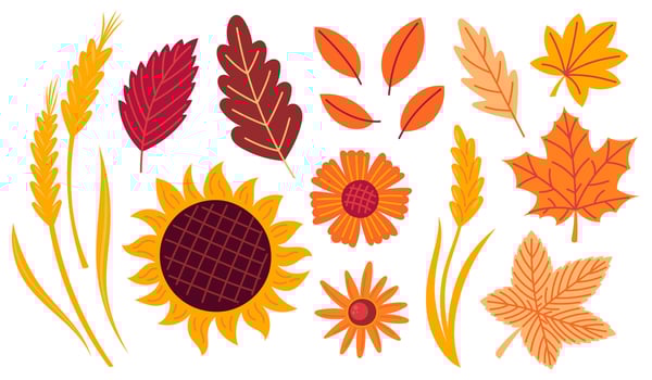 Autumn cozy design elements. Set of fall leaves, foliage and flowers. Flat illustration isolated on white background vector