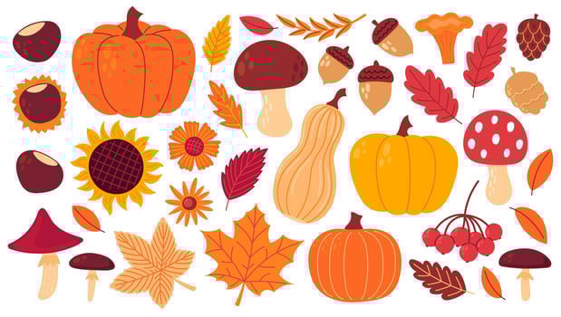 Autumn cozy design elements. Set of fall leaves, foliage, flowers, chestnut, acorn, berries, apples, pumpkins, mushrooms. Flat illustration isolated on white background vector