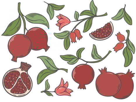 Ripe juicy pomegranates on branch with foliage, part of fruit, flowers and leaves set vector
