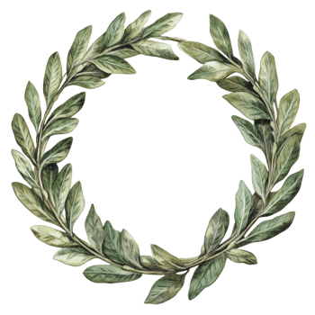 Fresh green laurel wreath on white isolated transparent png