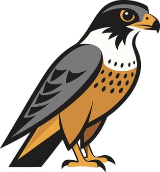 Illustration falcon fly bird animal flat art design vector