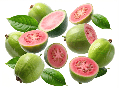 Guavas with green leaves on white background transparent png