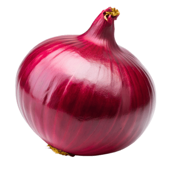 Glossy red onion on white background transparent png