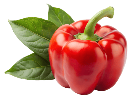 Fresh red bell pepper with green leaves nearby transparent png