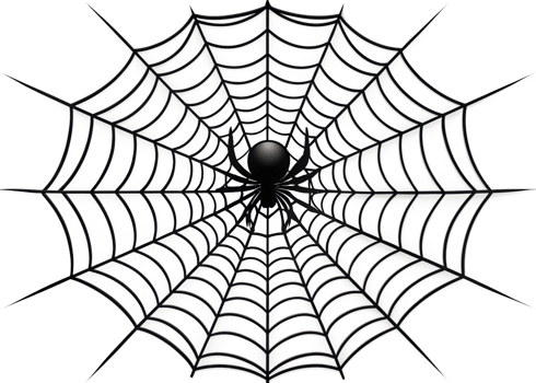 A spider intricately weaving its web in nature transparent png