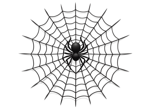 A black spider weaving a web in a quiet space transparent png
