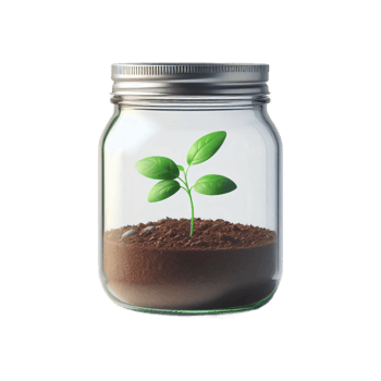 plant in a glass jar png