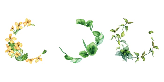 Set of wreaths with herb plants in watercolor isolated. Sage, celandine medicinal flowers in circle frame. Nettle wild herb frame hand drawn. Floral meadow frame. Design for label, package, postcard vector