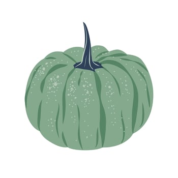 Green pumpkin in flat retro style isolated on white background. vector