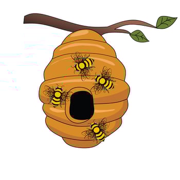 bee hive clipart vector