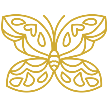 Cute butterfly outline png