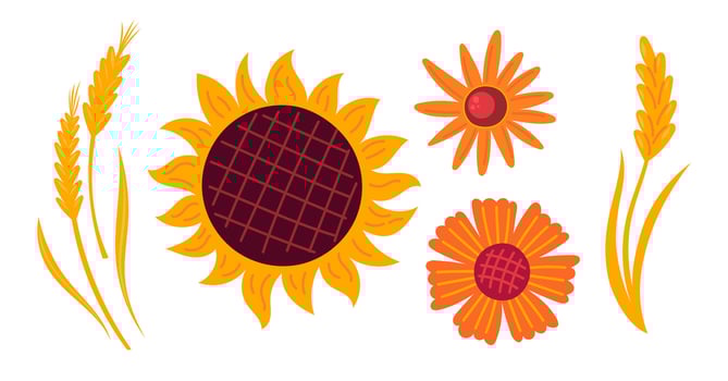 Autumn flowers, sunflower, ears of corn cozy design elements. Fall stickers collection. Flat illustration isolated on white background vector