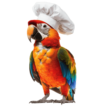 Colorful parrot wearing a chef hat in bright light isolated transparent png