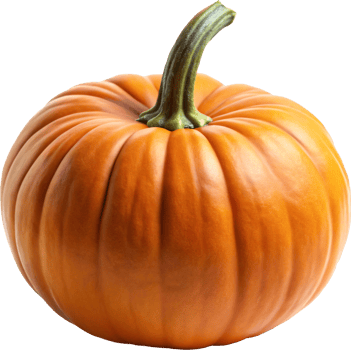jack o lanterns, halloween pumpkin, harvest png
