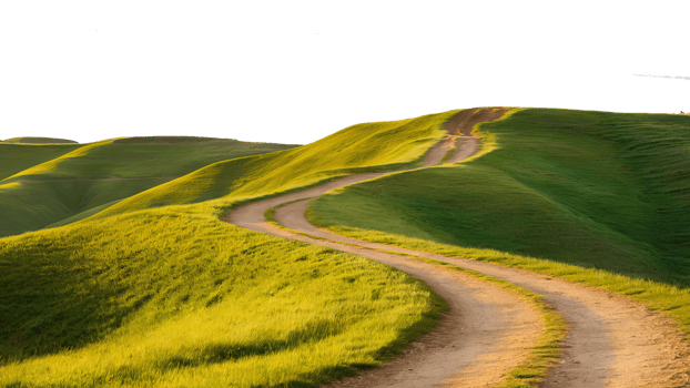 Road through fields png