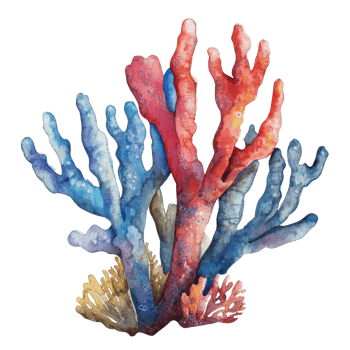 Vibrant coral reef with marine life isolated transparent png