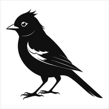 Bird logo icon in silhouette style illustration vector
