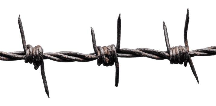 Barbed wire close-up during daylight hours png