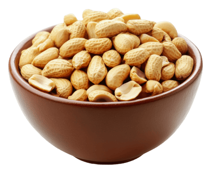 A bowl of roasted peanuts on a white background png