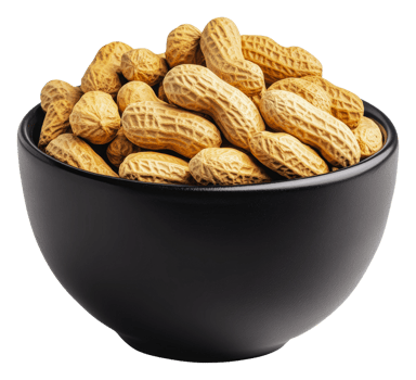 Bowl filled with unshelled peanuts on a table png