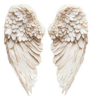 Intricate white feather wings, cut out - stock . png