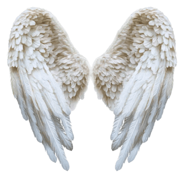 Beautiful white angel wings with feather details, cut out - stock . png