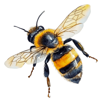 Bee pollinating flower in a vibrant garden setting, cut out - stock . png