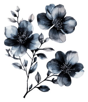 Elegant watercolor flowers in shades of blue, cut out - stock . png