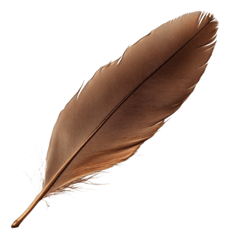 Brown feather on a surface in sunlight, cut out - stock . png
