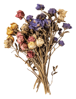 Multicolored dried rose bouquet, cut out - stock . png