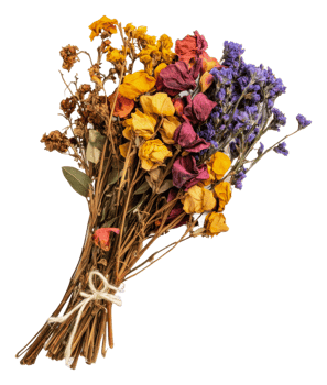 Vibrant dried flower bouquet for decor, cut out - stock . png