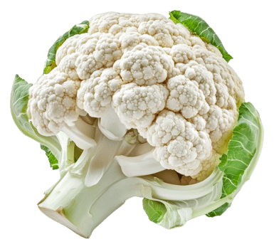 Fresh cauliflower on white, ready to cook, cut out - stock . png