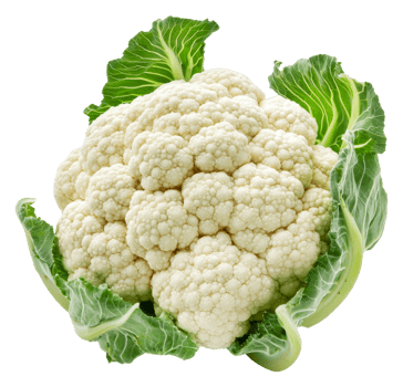 Fresh cauliflower in green leaves, cut out - stock . png