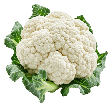 Fresh cauliflower with green leaves, cut out - stock . png