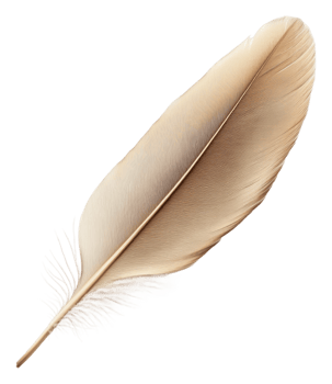 Delicate brown feather resting on a white surface, cut out - stock . png