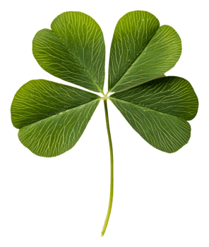 Four-leaf clover with distinctive green patterns, cut out - stock . png