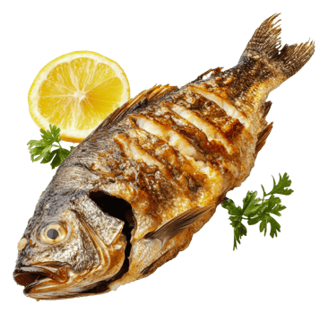 Lemon herb grilled fish on white background, cut out - stock . png