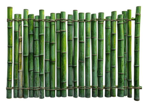 Green bamboo fence in a rustic outdoor setting, cut out - stock . png