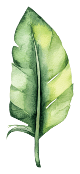 Green leaf watercolor on white background, cut out - stock . png