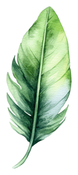 Watercolor illustration of a green tropical leaf, cut out - stock . png