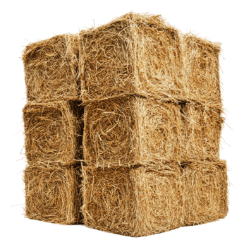 Stacked hay bales in rural farm setting at daytime, cut out - stock . png