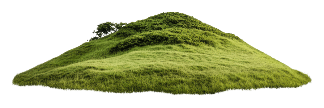 Lush green hill with gentle slope and vegetation, cut out - stock . png