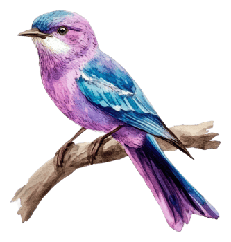 Colorful bird perched on a branch in nature, cut out - stock . png