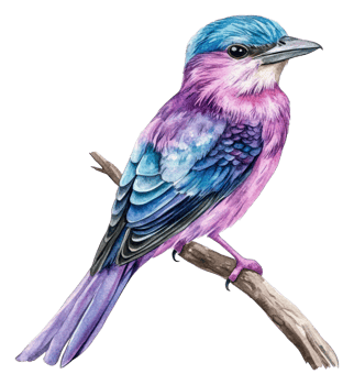 Colorful bird on a branch in nature, cut out - stock . png