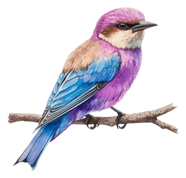 A colorful bird perched on a branch in nature, cut out - stock . png