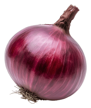 Fresh red onion isolated on white background, cut out - stock . png