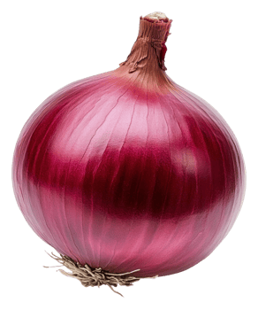 Fresh red onion isolated on a white background, cut out - stock . png