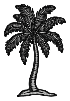 A detailed black silhouette of a palm tree design, cut out - stock . png
