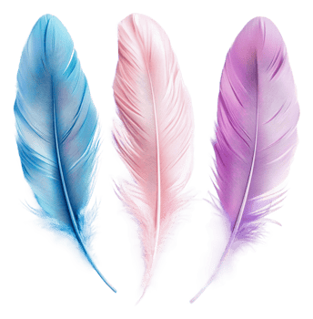 Vibrant blue, pink, and purple feathers, cut out - stock . png