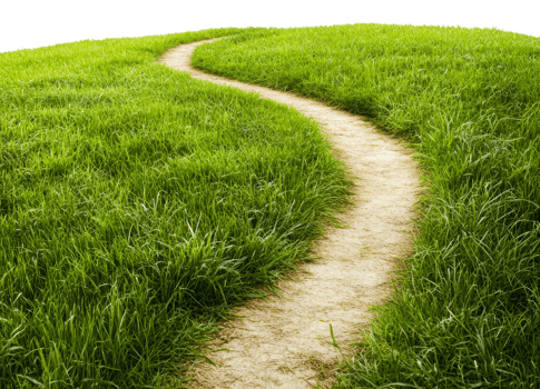 Dirt path through green grass landscape, cut out - stock . png